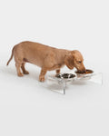 TEMPORARY PLACEHOLDER - replace with real product photo of feeding mat