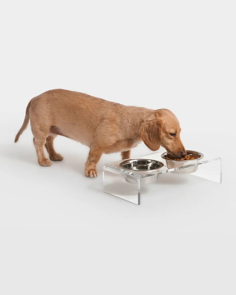 TEMPORARY PLACEHOLDER - replace with real product photo of feeding mat