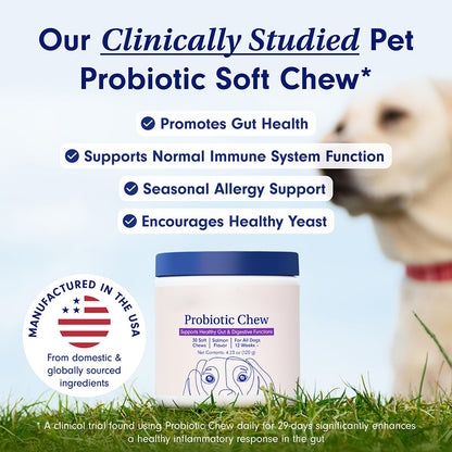 Probiotic chewable tablets